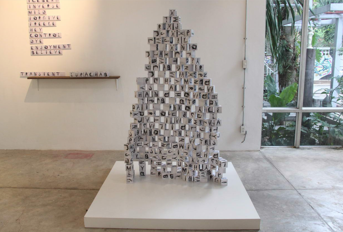 Program in Multi-Disciplinary Arts