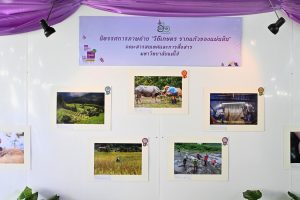 576818934_857427866639131_6622113180978058449_n