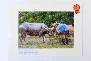 578907101_857427739972477_827011329103092740_n