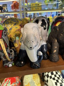 589631696_883328197692793_4685943425041541070_n