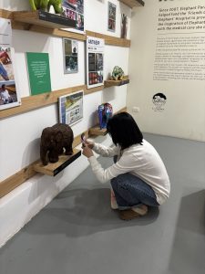 589635097_883329067692706_7639725055848901143_n