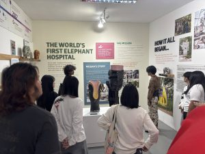 589650110_883329004359379_1367138320776450474_n