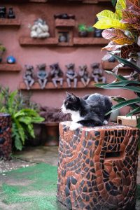 594004343_1778833843063879_864604083691569548_n