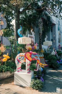 611846200_1512352034009461_6536523684663628411_n