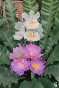 612403229_1512352414009423_7923954609597136388_n