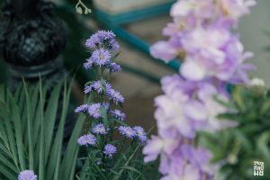 612456047_1512351870676144_2618058412733046402_n