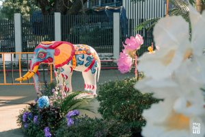 614091692_1512351694009495_7614821008447822617_n