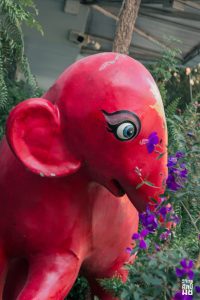 614696517_1512351624009502_8533646725274835349_n