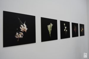 629585968_1534700268441304_2806150873072029844_n