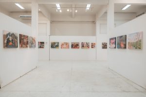 DSC02252